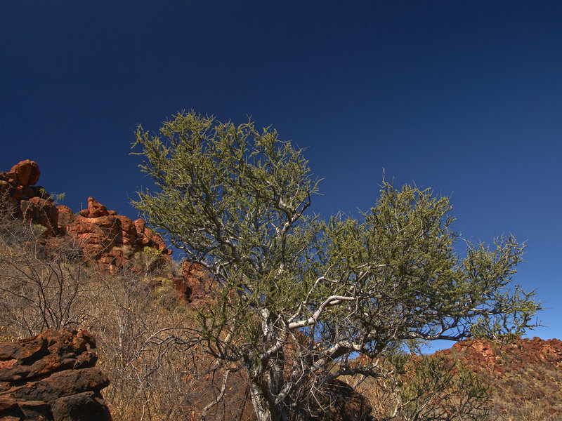 Waterberg